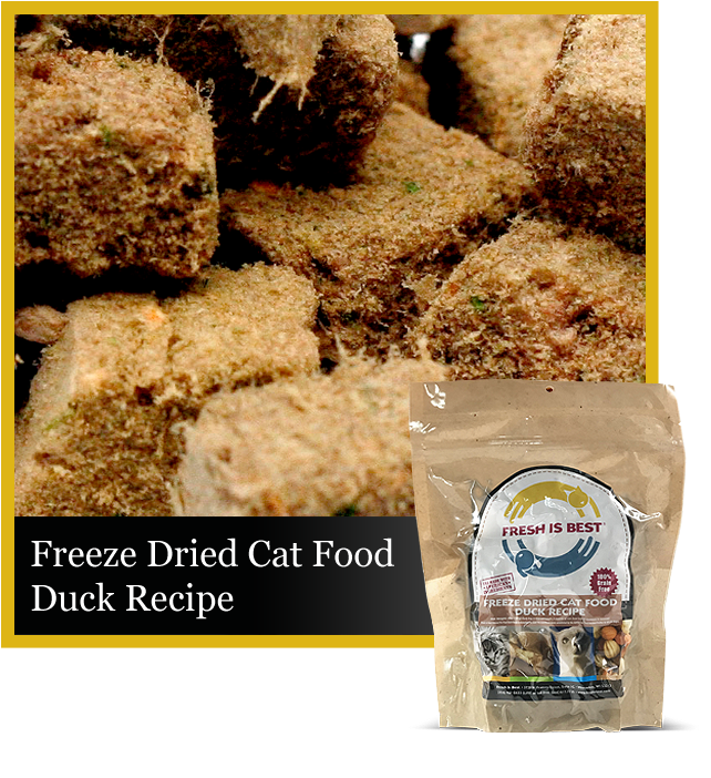 Best freeze clearance dried cat food