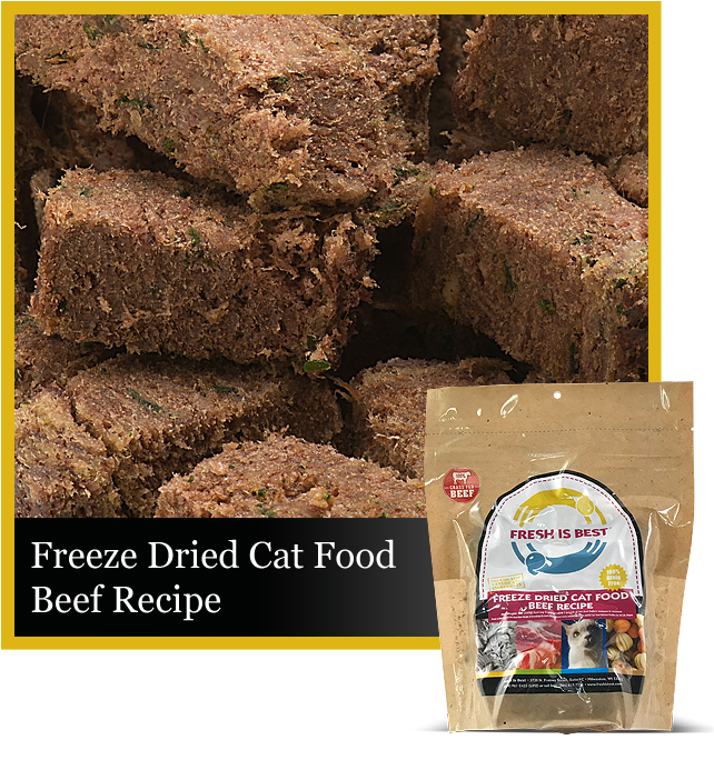 Best freeze shop dried cat food